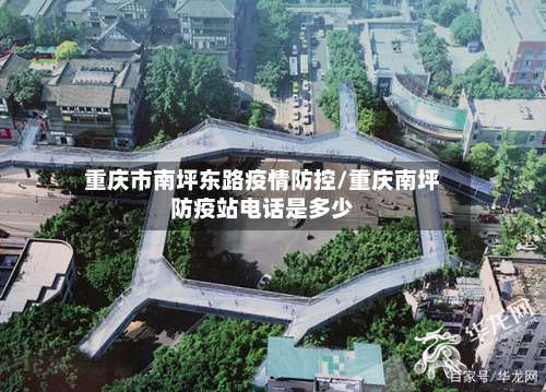 重庆市南坪东路疫情防控/重庆南坪防疫站电话是多少-第1张图片