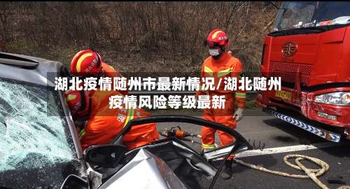 湖北疫情随州市最新情况/湖北随州疫情风险等级最新-第1张图片