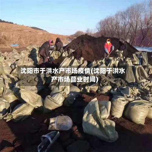 沈阳市于洪水产市场疫情(沈阳于洪水产市场营业时间)-第1张图片