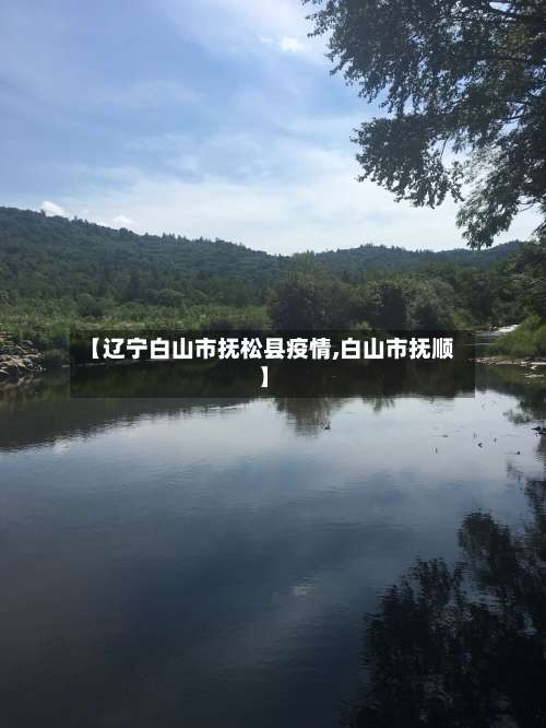 【辽宁白山市抚松县疫情,白山市抚顺】-第3张图片