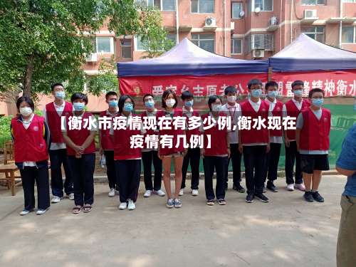【衡水市疫情现在有多少例,衡水现在疫情有几例】-第2张图片