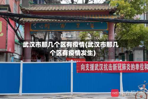 武汉市那几个区有疫情(武汉市那几个区有疫情发生)-第1张图片