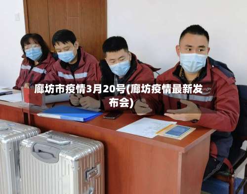 廊坊市疫情3月20号(廊坊疫情最新发布会)-第2张图片