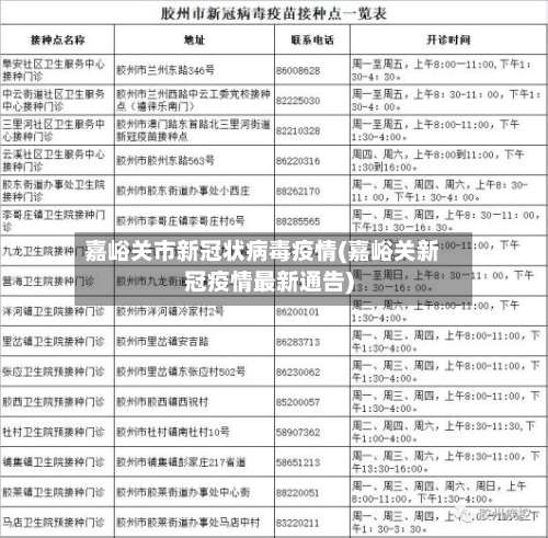 嘉峪关市新冠状病毒疫情(嘉峪关新冠疫情最新通告)-第2张图片