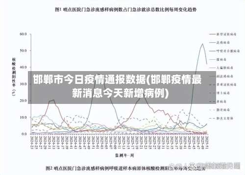 邯郸市今日疫情通报数据(邯郸疫情最新消息今天新增病例)-第3张图片