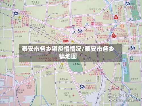 泰安市各乡镇疫情情况/泰安市各乡镇地图-第2张图片