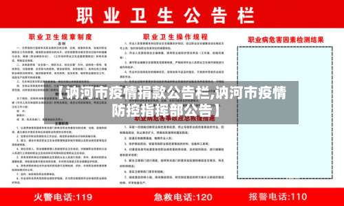 【讷河市疫情捐款公告栏,讷河市疫情防控指挥部公告】-第1张图片