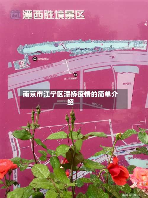 南京市江宁区潭桥疫情的简单介绍-第1张图片