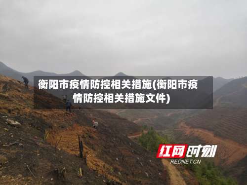 衡阳市疫情防控相关措施(衡阳市疫情防控相关措施文件)-第1张图片
