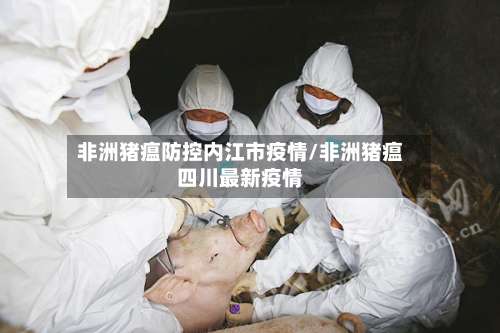 非洲猪瘟防控内江市疫情/非洲猪瘟四川最新疫情-第1张图片