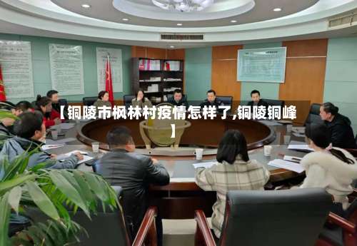 【铜陵市枫林村疫情怎样了,铜陵铜峰】-第1张图片