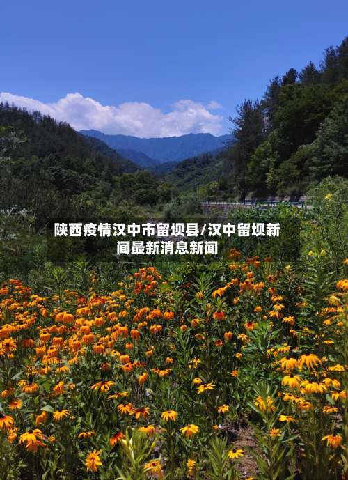 陕西疫情汉中市留坝县/汉中留坝新闻最新消息新闻-第1张图片