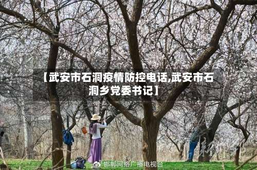 【武安市石洞疫情防控电话,武安市石洞乡党委书记】-第3张图片