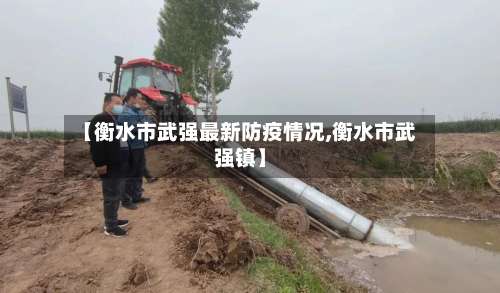 【衡水市武强最新防疫情况,衡水市武强镇】-第3张图片