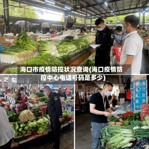 海口市疫情防控状况查询(海口疫情防控中心电话号码是多少)-第3张图片