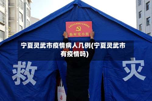 宁夏灵武市疫情病人几例(宁夏灵武市有疫情吗)-第2张图片