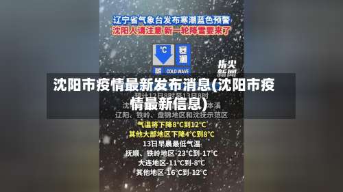 沈阳市疫情最新发布消息(沈阳市疫情最新信息)-第1张图片