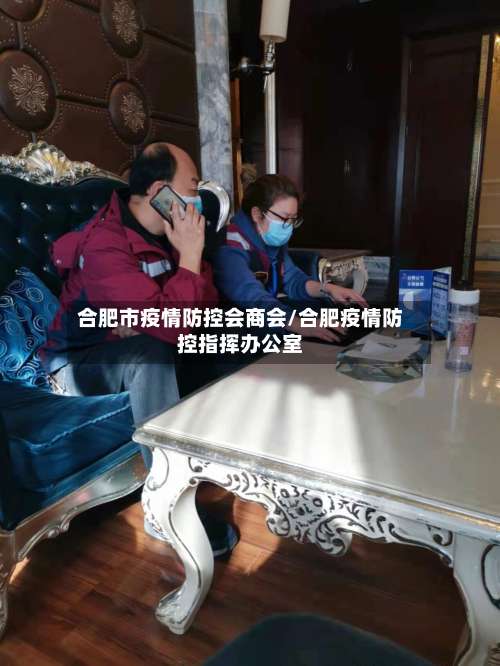 合肥市疫情防控会商会/合肥疫情防控指挥办公室-第1张图片
