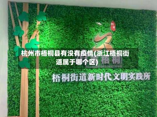 杭州市梧桐县有没有疫情(浙江梧桐街道属于哪个区)-第2张图片