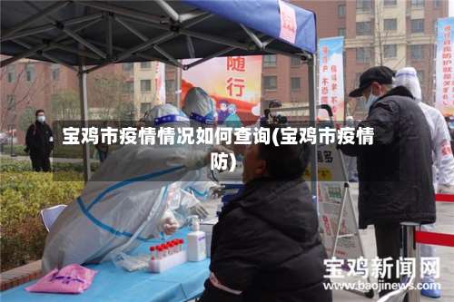 宝鸡市疫情情况如何查询(宝鸡市疫情防)-第1张图片
