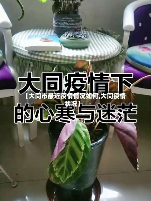 【大同市最近疫情情况如何,大同疫情状况】-第1张图片