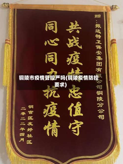 铜陵市疫情管控严吗(铜陵疫情防控要求)-第1张图片