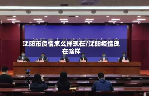 沈阳市疫情怎么样现在/沈阳疫情现在啥样-第1张图片
