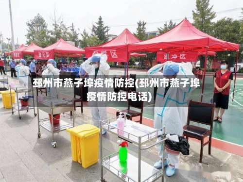 邳州市燕子埠疫情防控(邳州市燕子埠疫情防控电话)-第1张图片