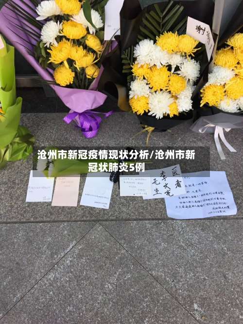 沧州市新冠疫情现状分析/沧州市新冠状肺炎5例-第1张图片