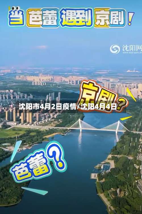 沈阳市4月2日疫情/沈阳4月4日-第2张图片