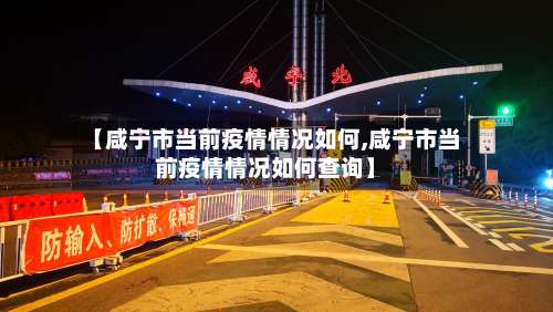 【咸宁市当前疫情情况如何,咸宁市当前疫情情况如何查询】-第1张图片