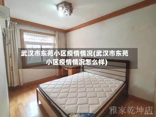 武汉市东苑小区疫情情况(武汉市东苑小区疫情情况怎么样)-第1张图片