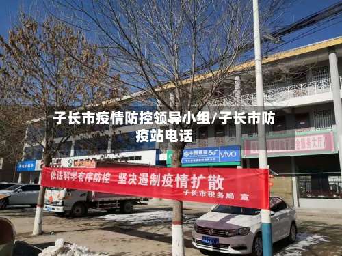 子长市疫情防控领导小组/子长市防疫站电话-第2张图片