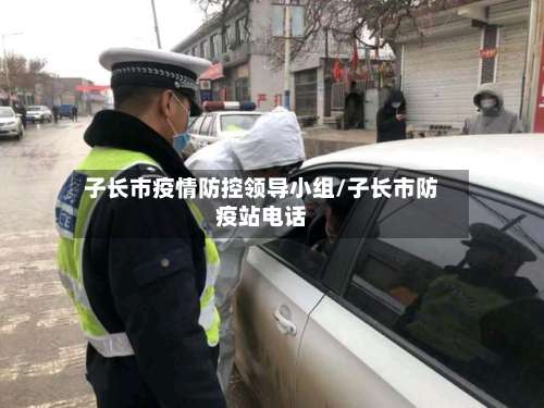 子长市疫情防控领导小组/子长市防疫站电话-第3张图片
