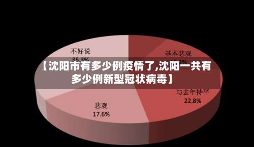 【沈阳市有多少例疫情了,沈阳一共有多少例新型冠状病毒】-第3张图片