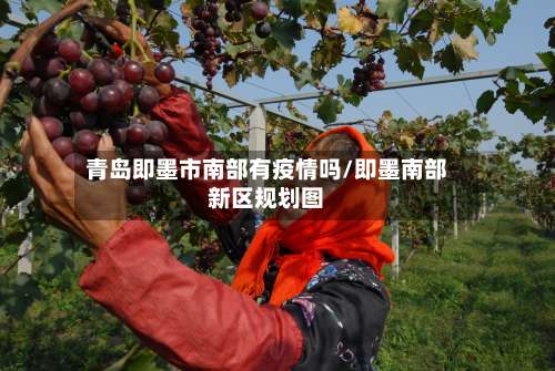 青岛即墨市南部有疫情吗/即墨南部新区规划图-第2张图片