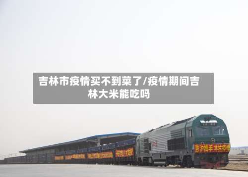 吉林市疫情买不到菜了/疫情期间吉林大米能吃吗-第1张图片