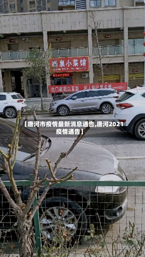 【唐河市疫情最新消息通告,唐河2021疫情通告】-第1张图片