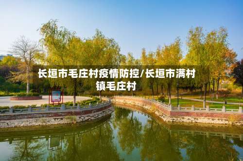 长垣市毛庄村疫情防控/长垣市满村镇毛庄村-第3张图片