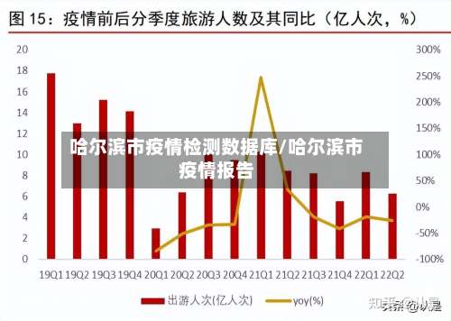 哈尔滨市疫情检测数据库/哈尔滨市疫情报告-第1张图片
