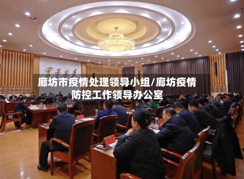 廊坊市疫情处理领导小组/廊坊疫情防控工作领导办公室-第1张图片