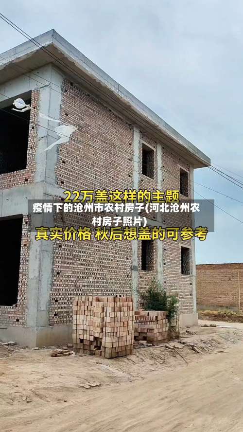 疫情下的沧州市农村房子(河北沧州农村房子照片)-第1张图片