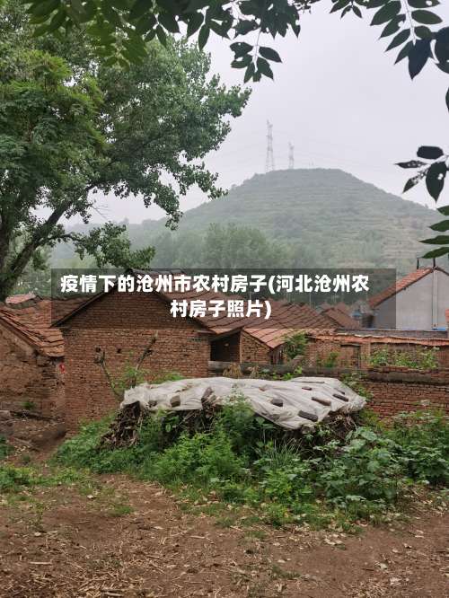 疫情下的沧州市农村房子(河北沧州农村房子照片)-第3张图片