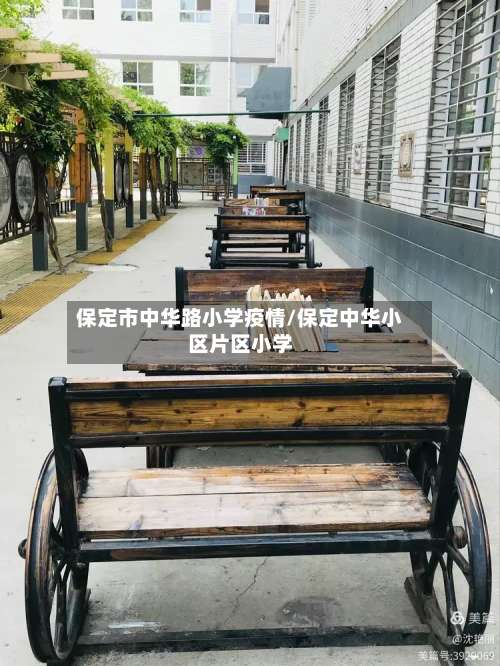 保定市中华路小学疫情/保定中华小区片区小学-第1张图片