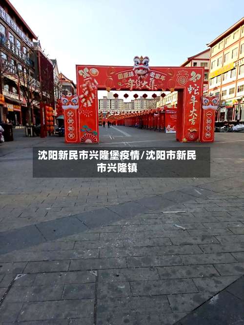 沈阳新民市兴隆堡疫情/沈阳市新民市兴隆镇-第1张图片