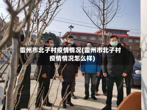 雷州市北子村疫情情况(雷州市北子村疫情情况怎么样)-第3张图片