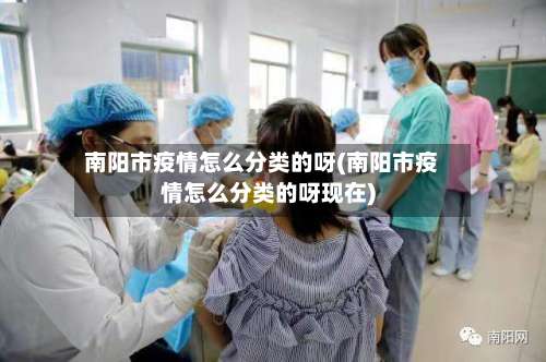 南阳市疫情怎么分类的呀(南阳市疫情怎么分类的呀现在)-第1张图片
