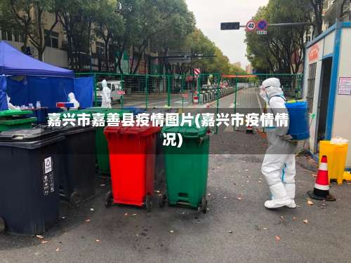 嘉兴市嘉善县疫情图片(嘉兴市疫情情况)-第2张图片